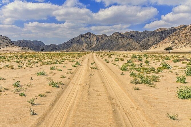 3-Hour Desert Safari Adventure in Marsa Alam