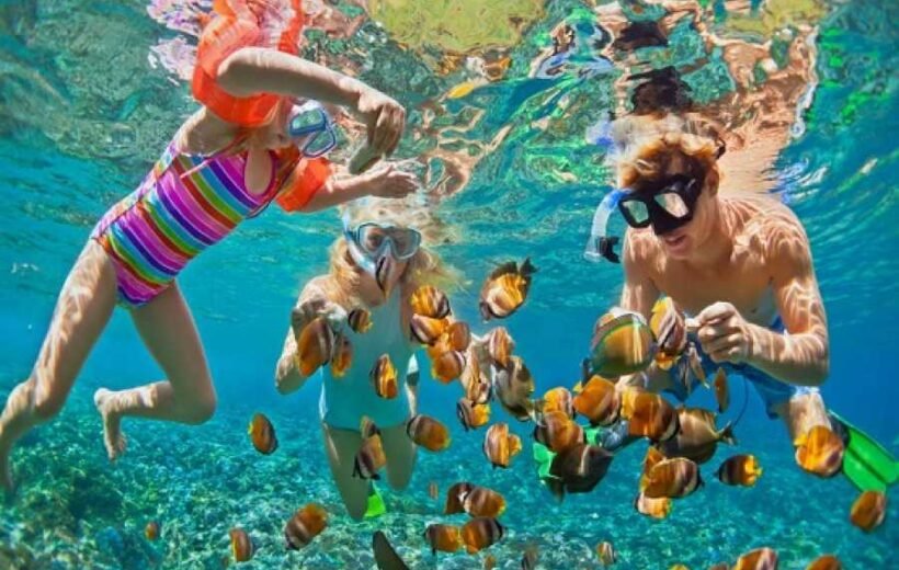 Sharm El Naga Schnorcheln  - Entdecken Sie die Juwelen der Unterwasserwelt