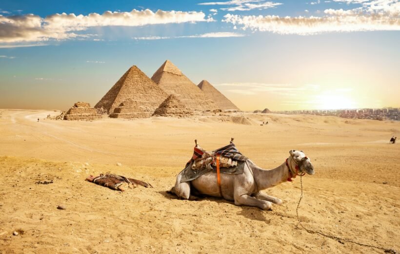 Cairo Day Trip from Sharm El Sheikh by Bus