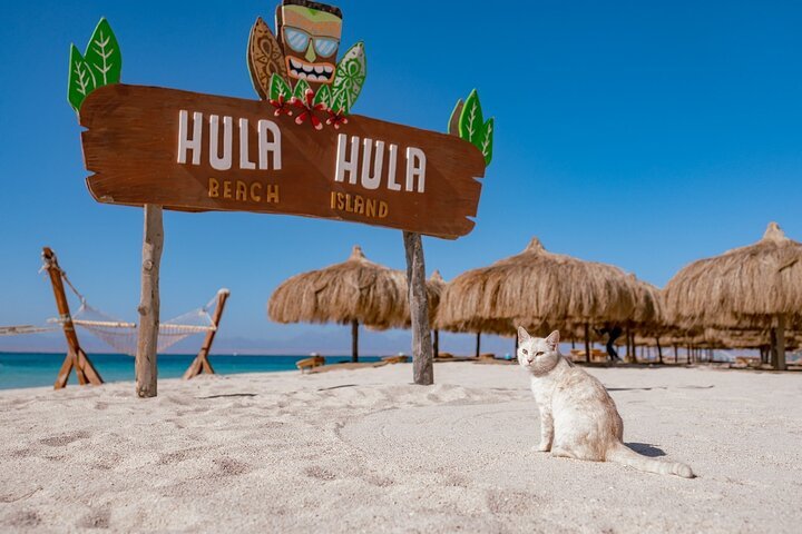 Hula Hula Island Snorkeling Trip