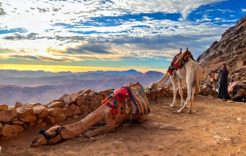 2 Day Tour from Cairo to Mount Sinai, St Catherine (Suez Canal)