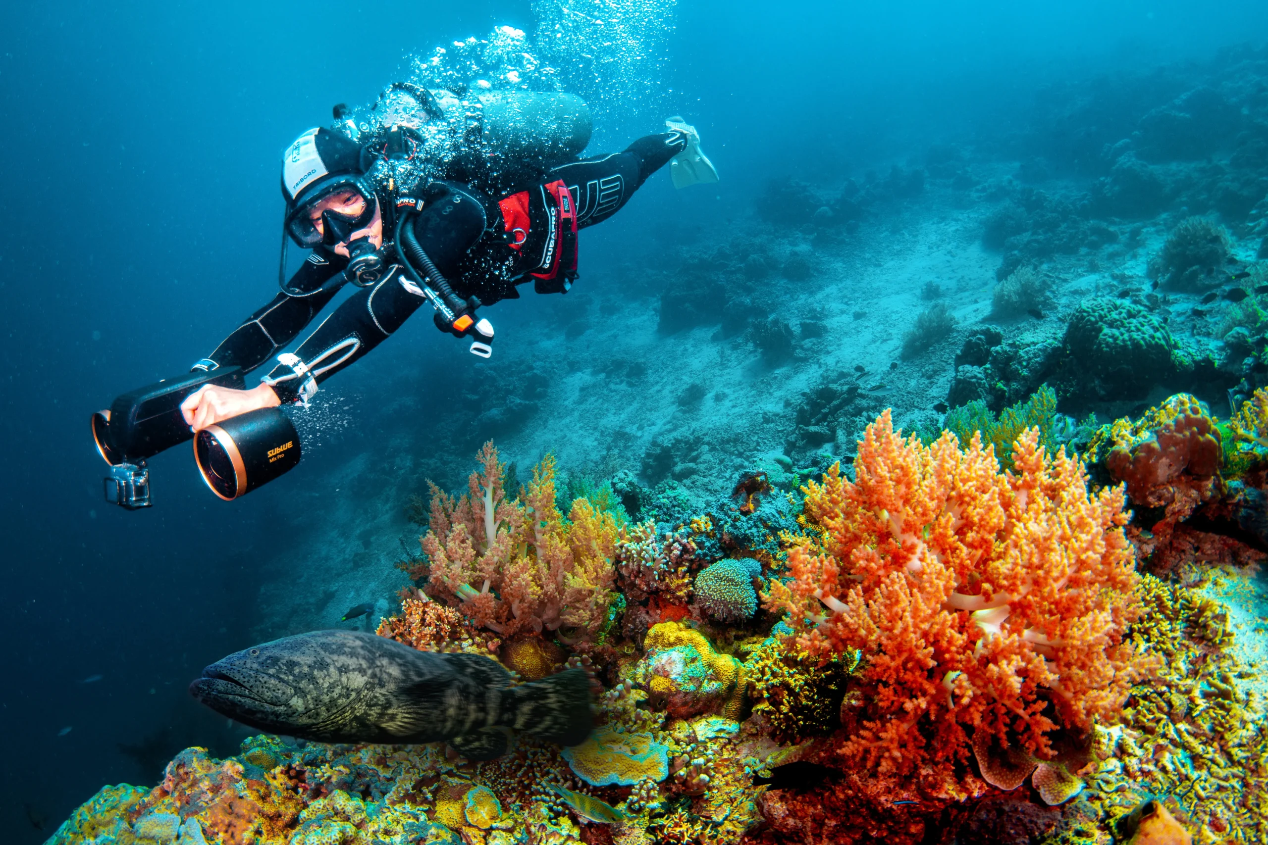 Best Dive Sites in Marsa Alam Red Sea Egypt