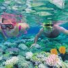 the grand resort hurghada schnorcheln