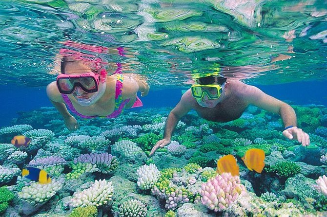 the grand resort hurghada schnorcheln